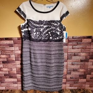 Gorgeous Antonio Melani Adara Dress Black / Ivory Size 14